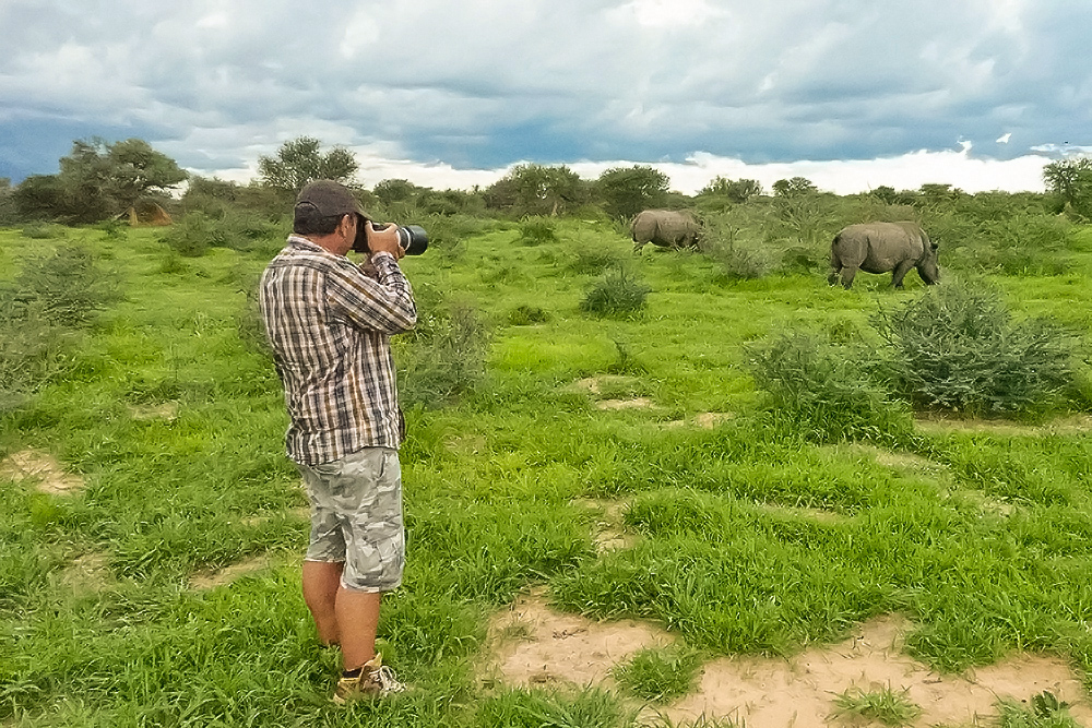 poddi in Namibia